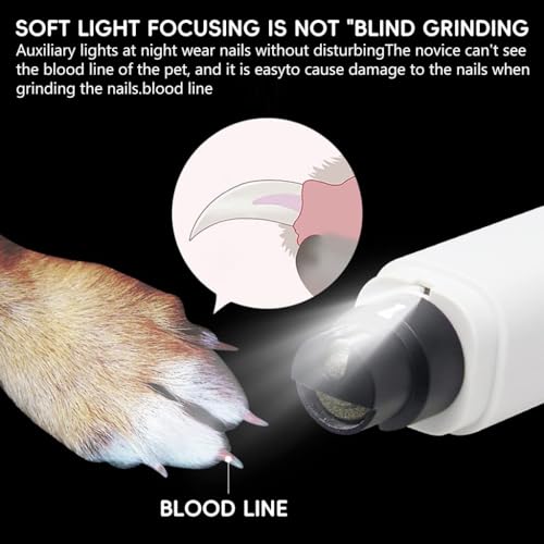 Qpets® Dog Nail Trimmer With LED Light Diamond Grinding Bit Rechargeable 2-Speed Electric Pet Grinder For Dogs Cats Noiseless Portable USB Powered Safe Efficient Cutter 3 PCS Qpets® Dog Nail Trimmer With LED Light Diamond Grinding Bit Rechargeable 2-Speed Electric Pet Grinder For Dogs Cats Noiseless Portable USB Powered Safe Efficient Cutter 3 PCS